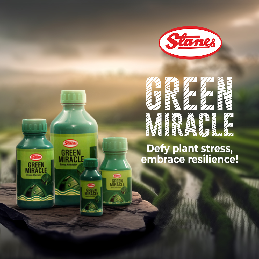 Green Miracle Image